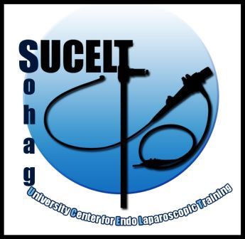 Sohag 2nd Basic Laparoscopic training course (from December 3rd to 8th 2016; SUCELT)